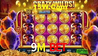 cassino 9M Bet